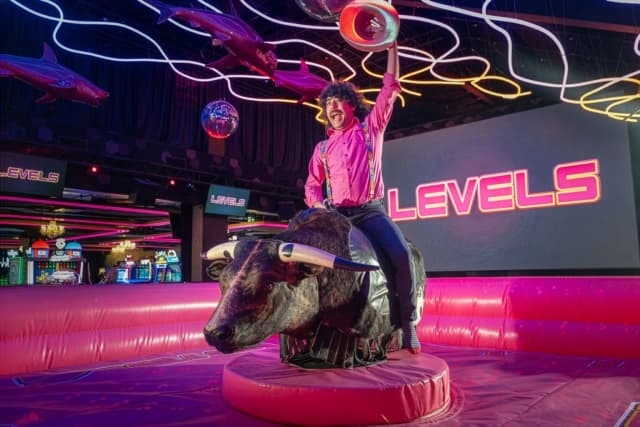 Rodeo býk v LEVELS