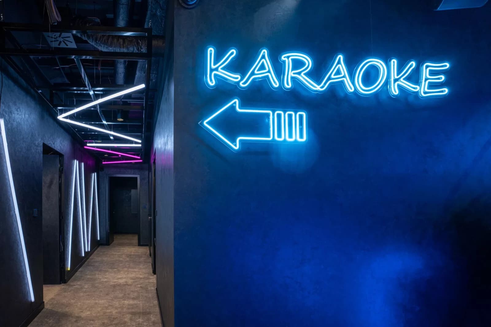 Vlastní karaoke box